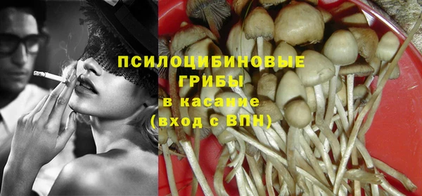 трава Аркадак