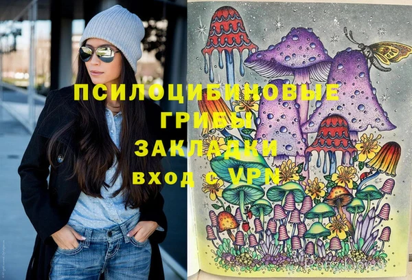 ГАЛЛЮЦИНОГЕННЫЕ ГРИБЫ Нефтегорск