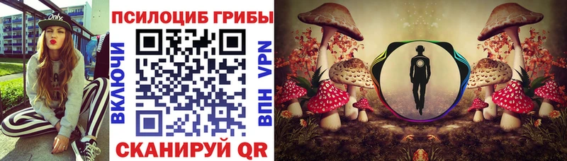 блэк спрут ссылки Ртищево Галлюциногенные грибы Cubensis